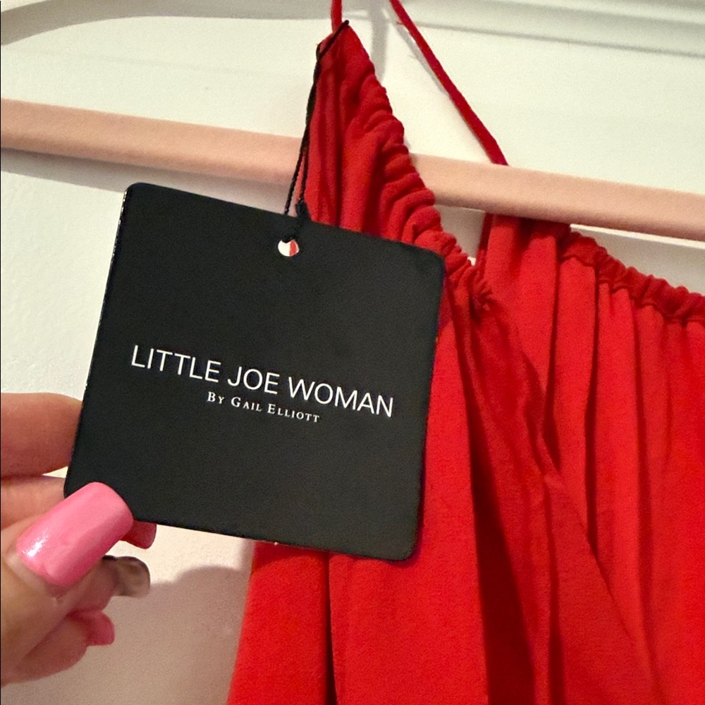 Chic Red Ruffle Mini Dress - Picture 4 of 8
